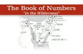 The Book of  Numbers “In the Wilderness”