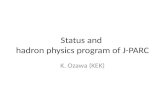 Status and  hadron physics program  of J-PARC