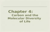 Chapter  4:        Carbon and the Molecular Diversity  of  Life