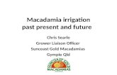 Macadamia irrigation past  present and future