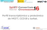 Perfil transcriptómico  y  proteómico  de MCF7, CCD18 y  Jurkat .