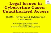 Legal Issues in Cybercrime Cases:  Unauthorized Access