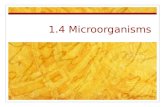 1.4 Microorganisms