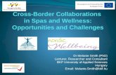 Cross-Border Collaborations  in Spas and Wellness: Opportunities and Challenges