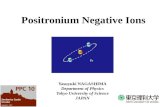 Positronium Negative Ions