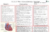 3.2.2 The Circulatory System