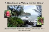 Hawaii Tropical Botanical Garden, January 31, 2013 By Laurel Scott