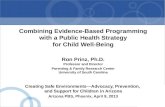 Combining Evidence-Based Programming with a Public Health Strategy for Child Well-Being