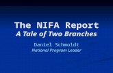 The NIFA Report A Tale of Two Branches