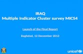 IRAQ Multiple Indicator Cluster survey MICS4