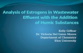 Analysis of Estrogens in Wastewater Effluent with the Addition  of  Humic  Substances