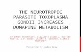 The Neurotropic Parasite Toxoplasma  Gondii  Increases  Domapine  Metabolism