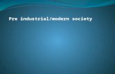 Pre industrial/modern  society