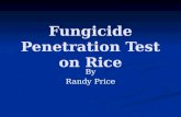 Fungicide Penetration Test on Rice