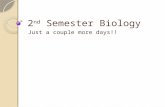 2 nd  Semester Biology