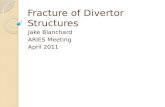 Fracture of  Divertor  Structures