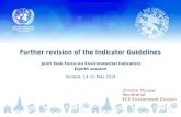Further revision of the Indicator Guidelines