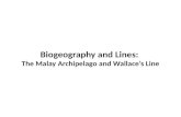 Biogeography and  Line s :  The Malay Archipelago and Wallace’s Line
