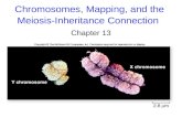 Chromosomes, Mapping, and the Meiosis-Inheritance Connection