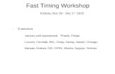 Fast Timing Workshop Krakow, Nov 29 - Dec 1 st   2010