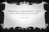 Surface property and hydrogen bonding