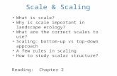 Scale & Scaling What is scale? Why is scale important in landscape ecology?