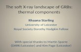 The soft X-ray landscape of GRBs: thermal components