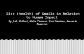 Size (health) of Snails in Relation to Human Impact