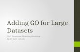 Adding GO for Large Datasets