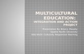 Multicultural Education:  Integration and Action project