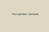 Perceptual Systems