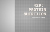 429:  Protein Nutrition