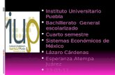 Instituto Universitario Puebla Bachillerato  General escolarizado  Cuarto semestre