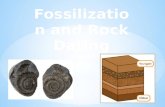Fossilization and Rock Dating