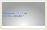 Chapter  11:  Cell  Communication