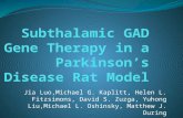 Subthalamic  GAD Gene Therapy in a Parkinson’s Disease Rat Model