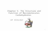 Chapter 5- The Structure and Function of Macromolecules Carbohydrates