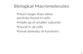 Biological Macromolecules