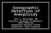 Sonographic  Detection of Aneuploidy