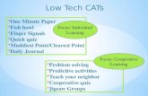 Low Tech CATs