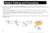 Protein Folding and Processing