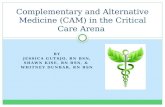 Complementary and Alternative Medicine (CAM)  in the Critical Care Arena