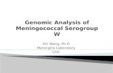 Genomic Analysis of Meningococcal  Serogroup  W