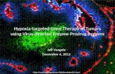Hypoxia-targeted Gene Therapy of Tumors using Virus-directed Enzyme- Prodrug  Systems