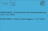 EVROS  DELTA - Griechenland,  Storchenbesenderung  vom 1.- 3.7.2013