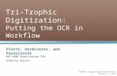 Tri - Trophic  Digitization: Putting the OCR in Workflow