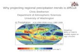 Why projecting regional precipitation trends is difficult
