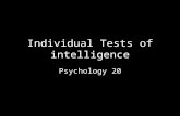 Individual Tests of intelligence
