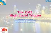 The CMS  High  Level Trigger