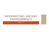 Interpreting Ancient Environments